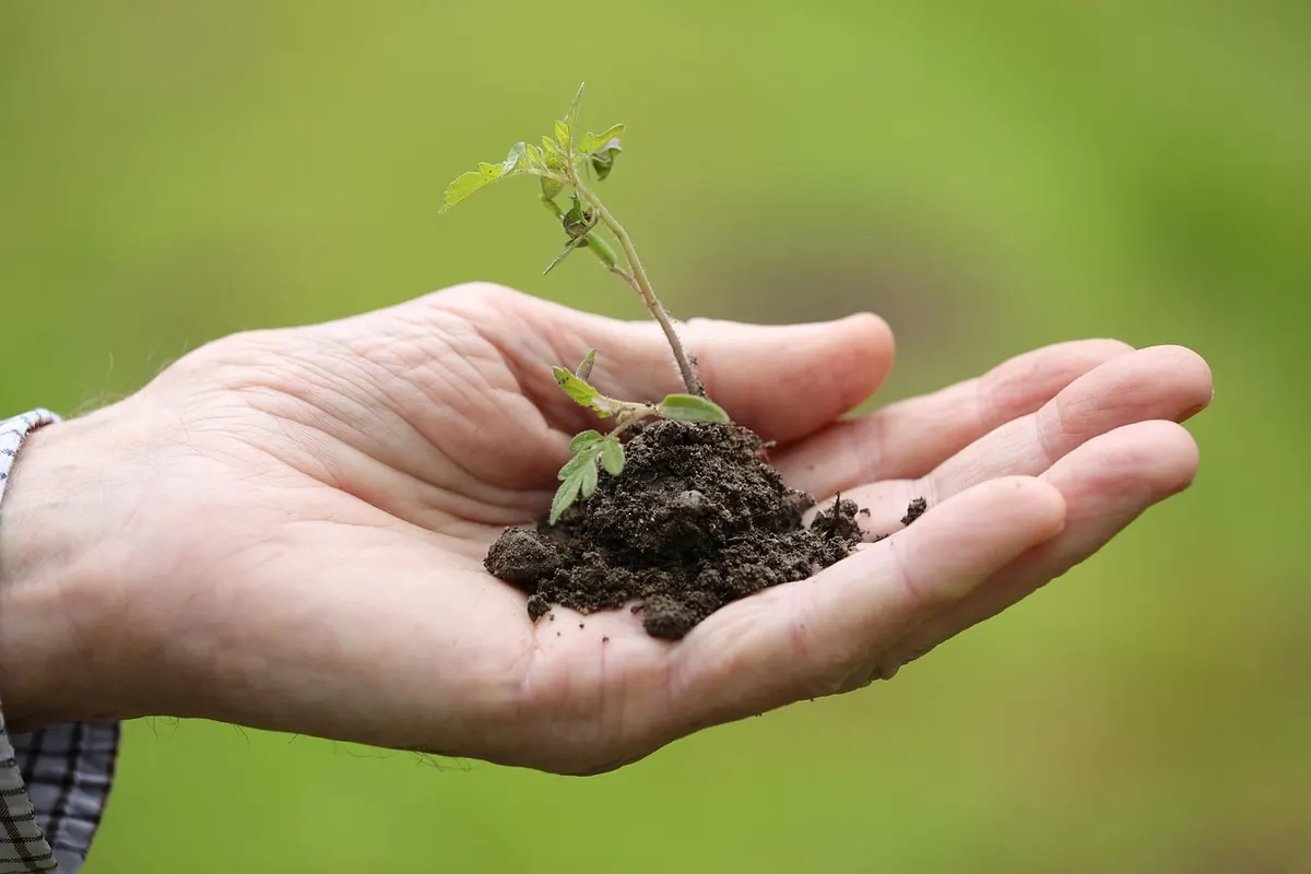 How Community Service Improves Wellbeing: An Explainer for Skeptics
